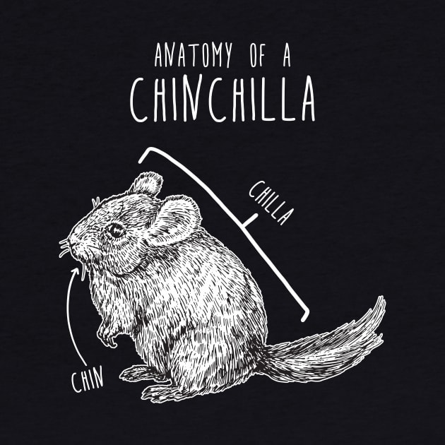 Chinchilla Anatomy by Psitta